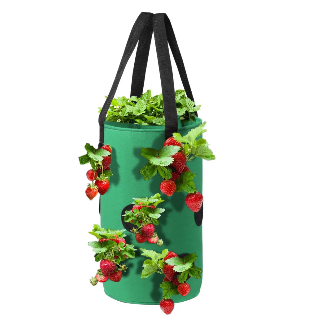 Multi-season hang planter