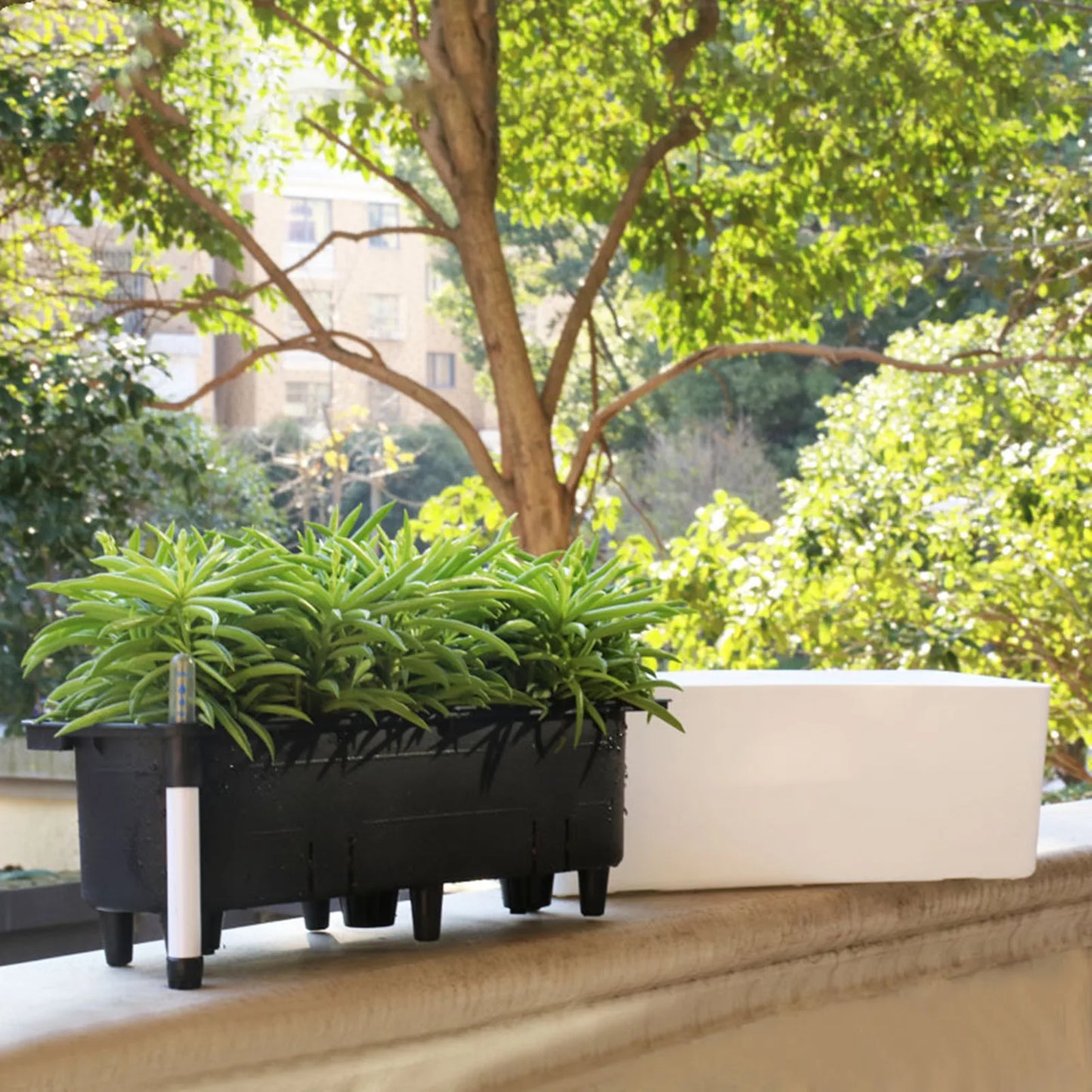 ALON Planter(WITE) - Automatic Irrigation Without Electricity with Water Level Controller