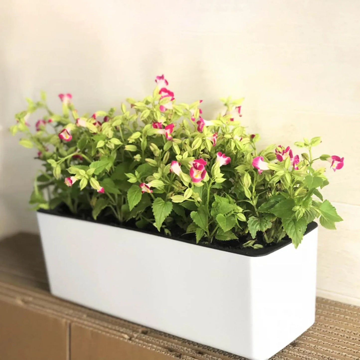 ALON Planter(WITE) - Automatic Irrigation Without Electricity with Water Level Controller