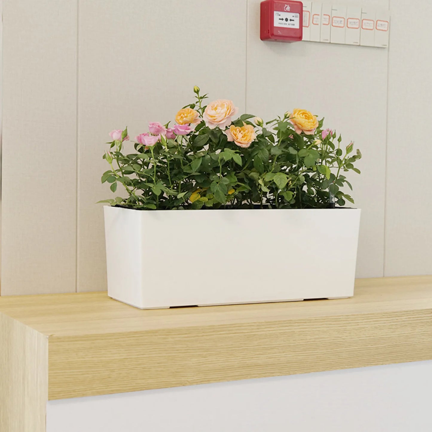 ALON Planter(WITE) - Automatic Irrigation Without Electricity with Water Level Controller