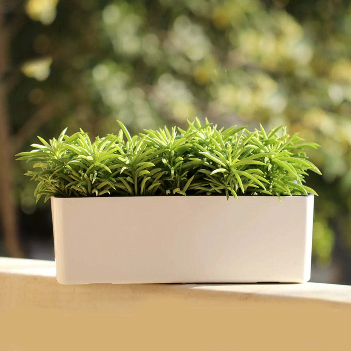 ALON Planter(WITE) - Automatic Irrigation Without Electricity with Water Level Controller