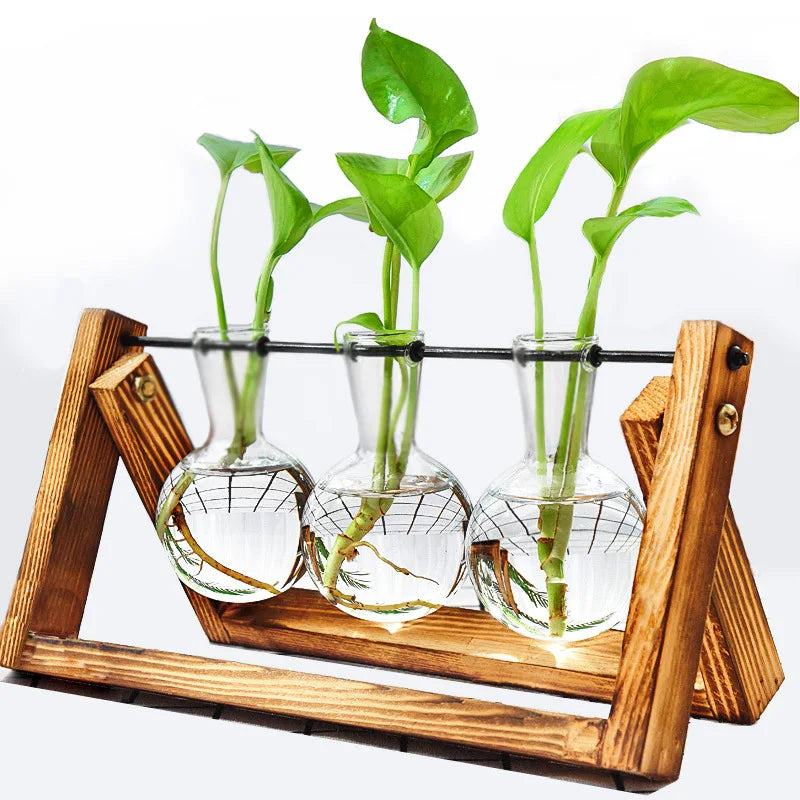 The Urban Planter - Elegant desk Hydroponic rootinע Vase