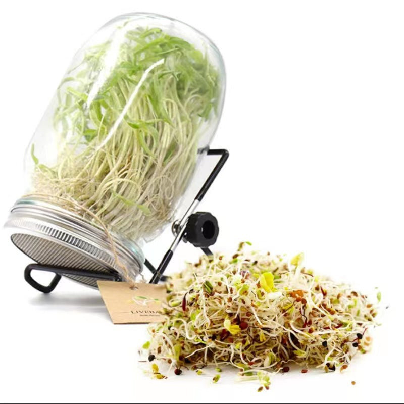 Compact Breathing Sprout growing