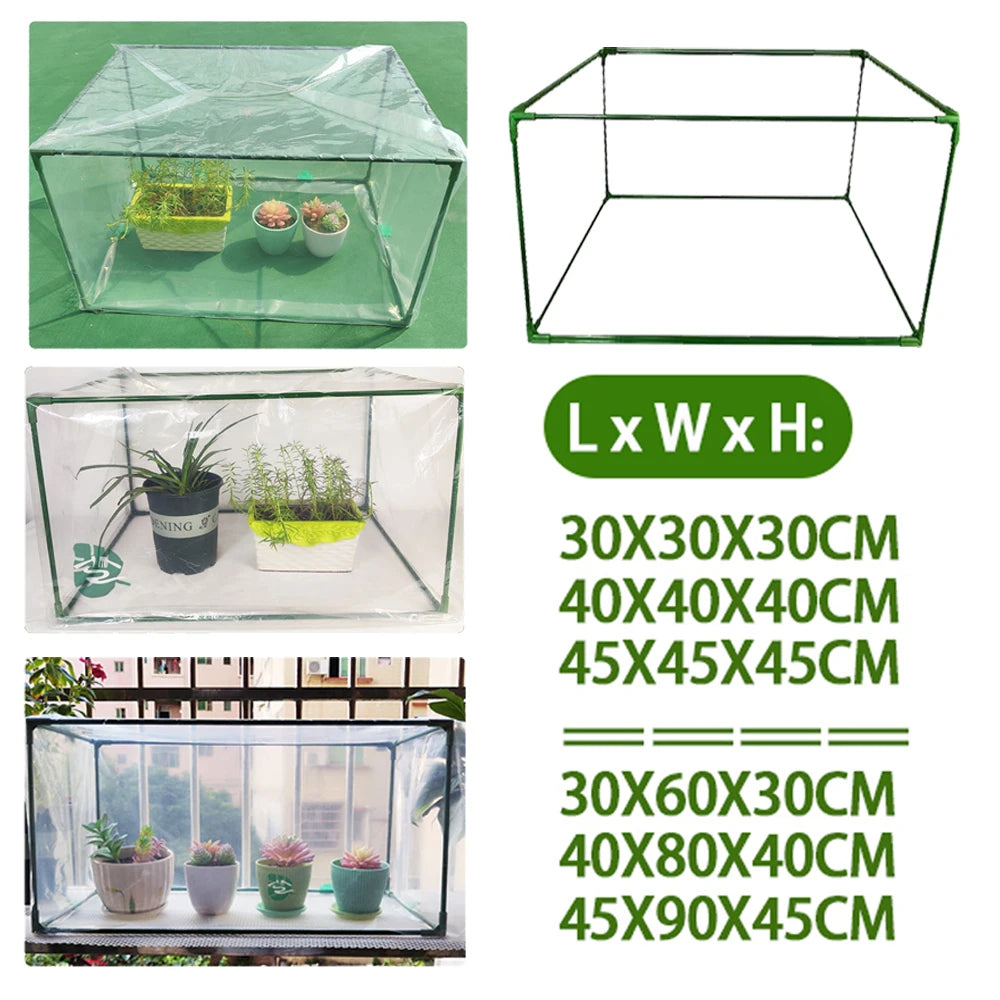 Collage of transparent greenhouses with dimensions displayed