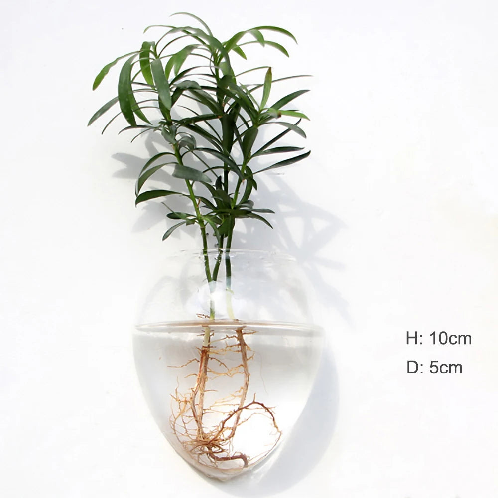 Stylish Wall Hanging Glass Flower Vase