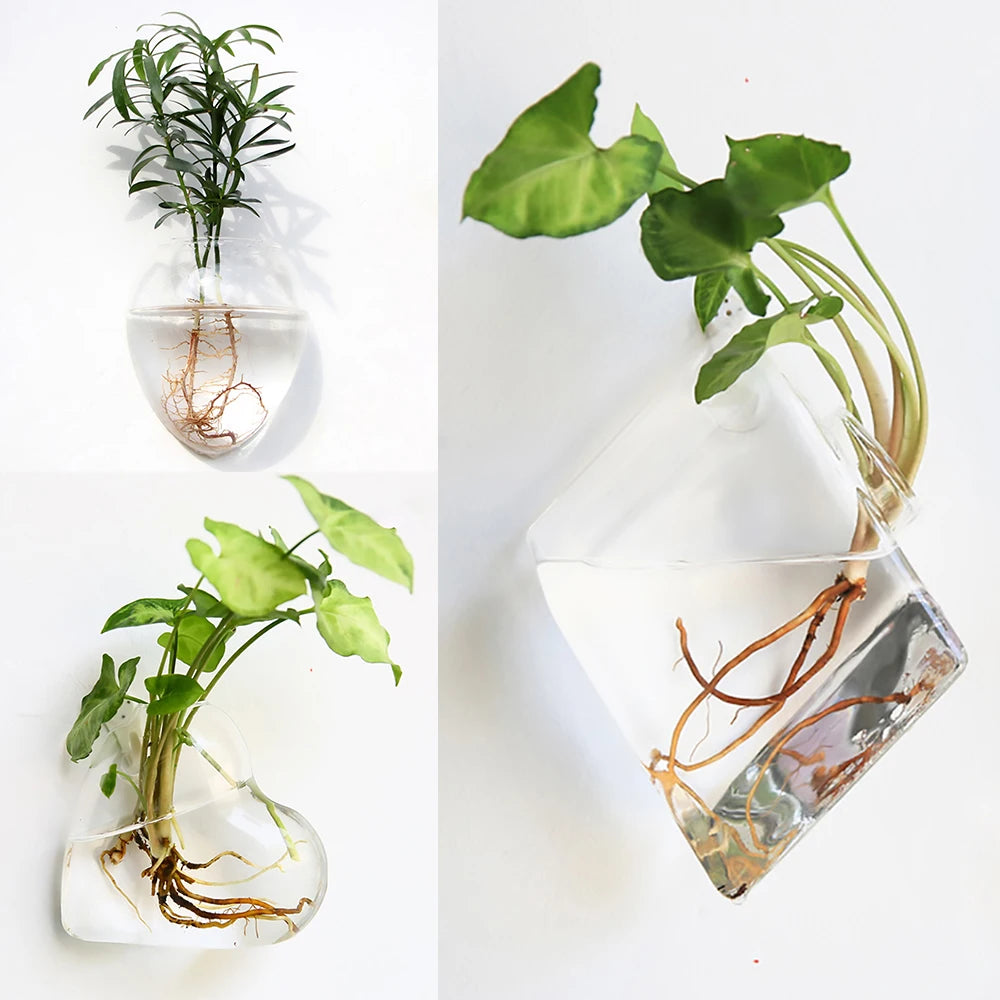Stylish Wall Hanging Glass Flower Vase
