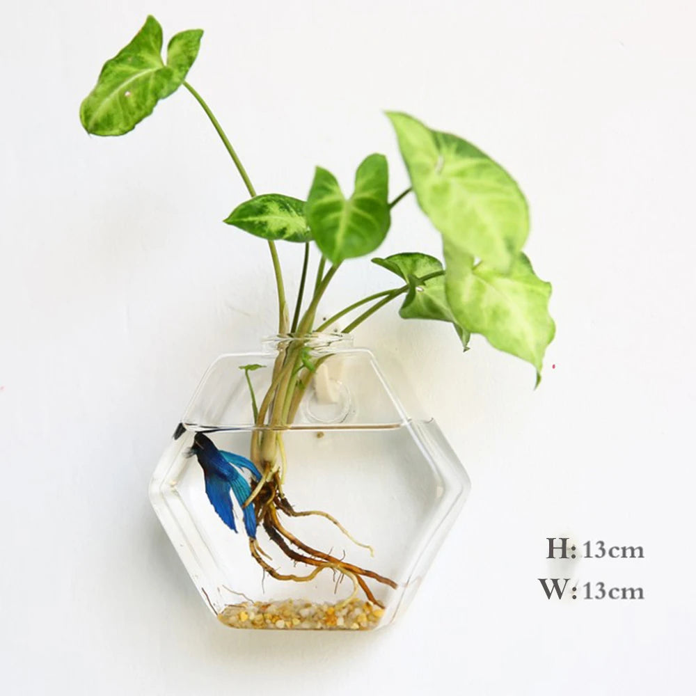 Stylish Wall Hanging Glass Flower Vase