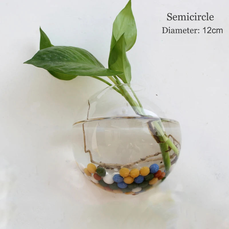 Stylish Wall Hanging Glass Flower Vase