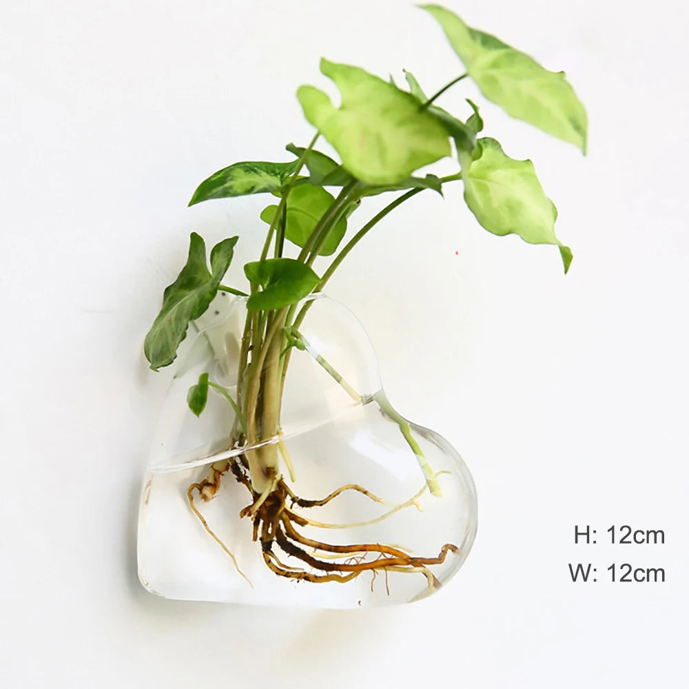 Stylish Wall Hanging Glass Flower Vase