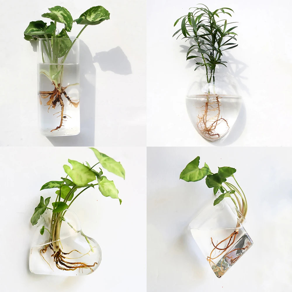 Stylish Wall Hanging Glass Flower Vase