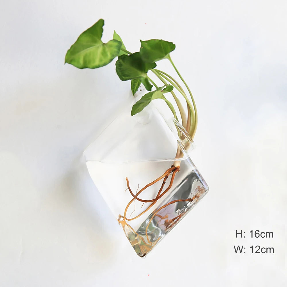 Stylish Wall Hanging Glass Flower Vase
