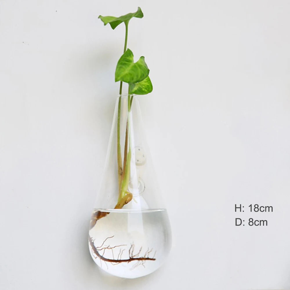 Stylish Wall Hanging Glass Flower Vase