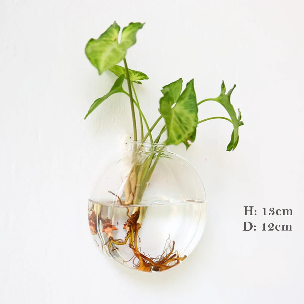 Stylish Wall Hanging Glass Flower Vase