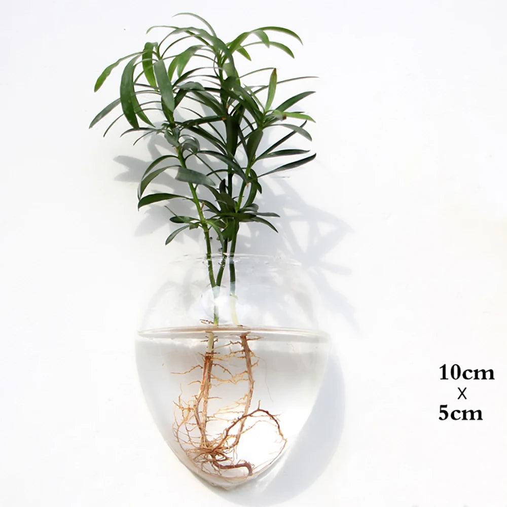 Stylish Wall Hanging Glass Flower Vase