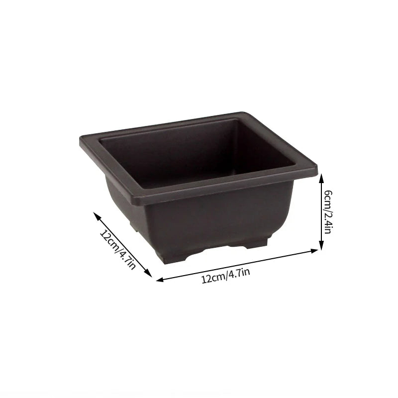 🌿 Old & Wise – Bonsai-Inspired Smart Planter