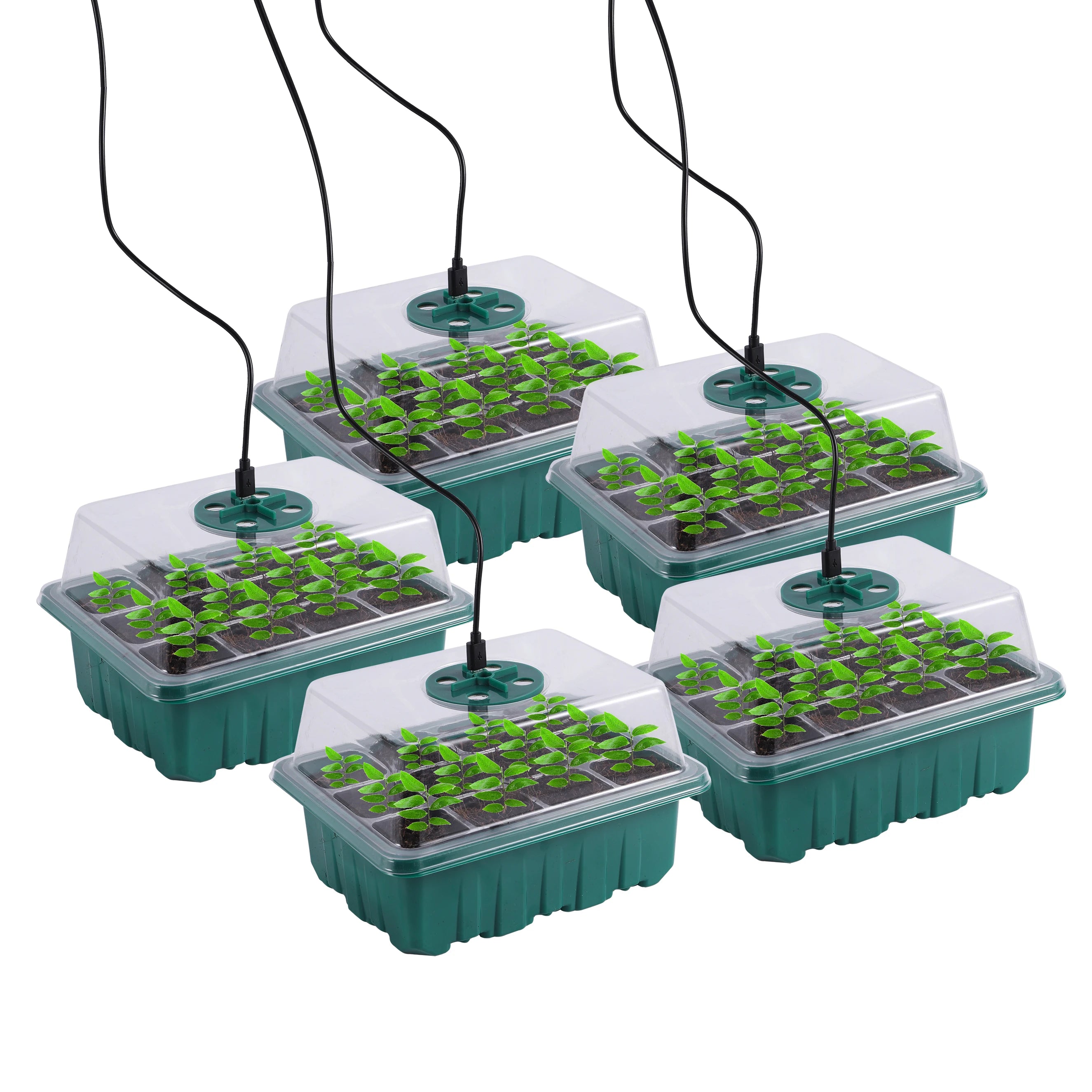 Seed Germination Incubator
