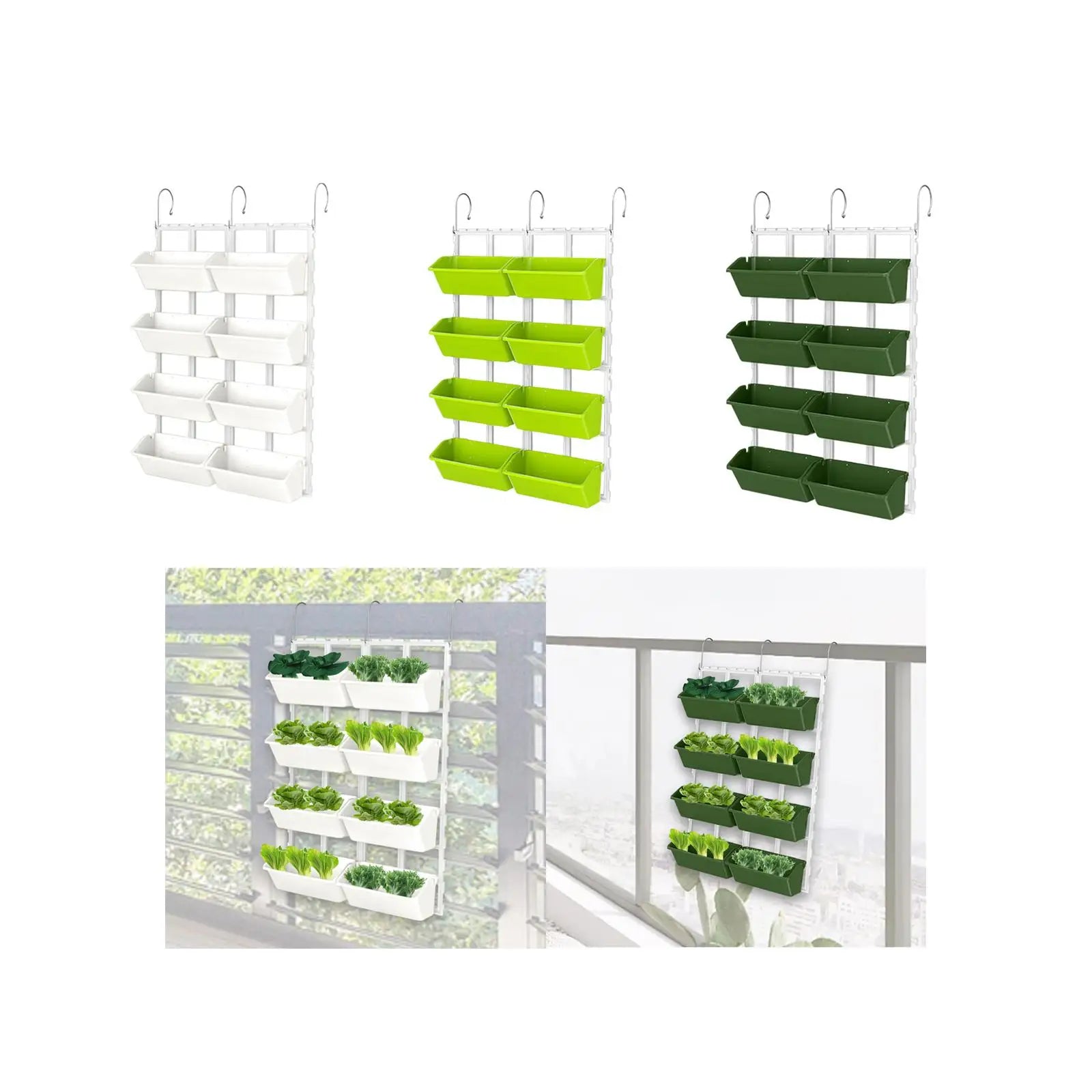 Hanging  garden