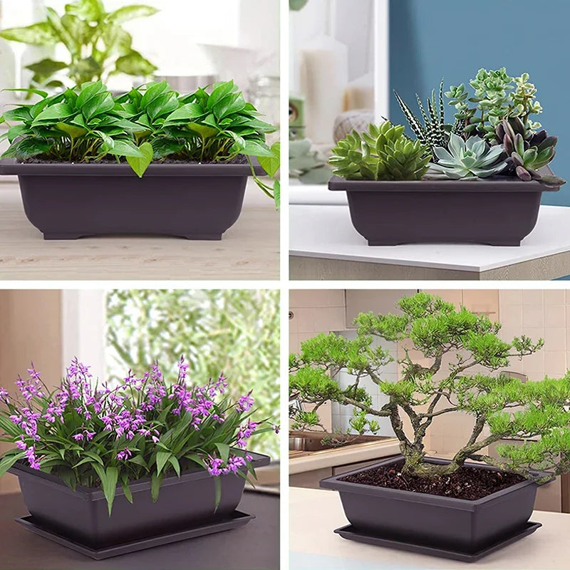 🌿 Old & Wise – Bonsai-Inspired Smart Planter
