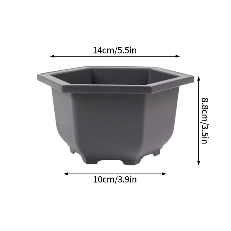 🌿 Old & Wise – Bonsai-Inspired Smart Planter