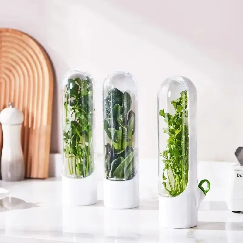 Herb Saver Storage Container Fresh Herb Keeper Vanilla Vegetables Fresh Preservation Bottle for Refrigerator Kitchen