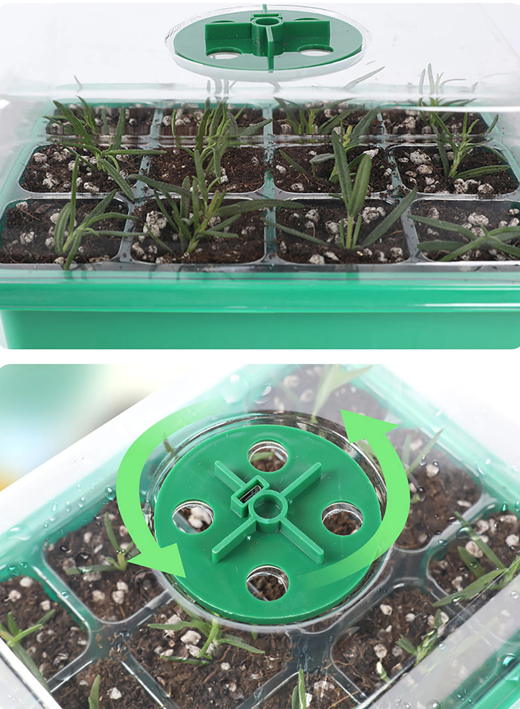 Seed Germination Incubator