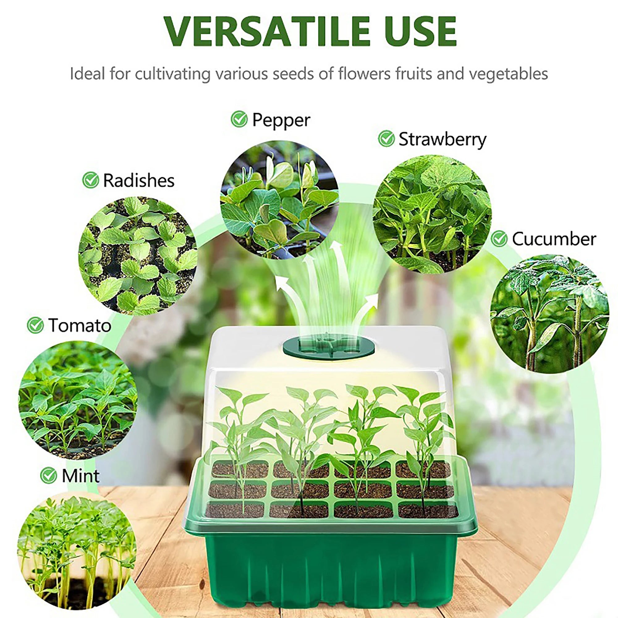 Seed Germination Incubator