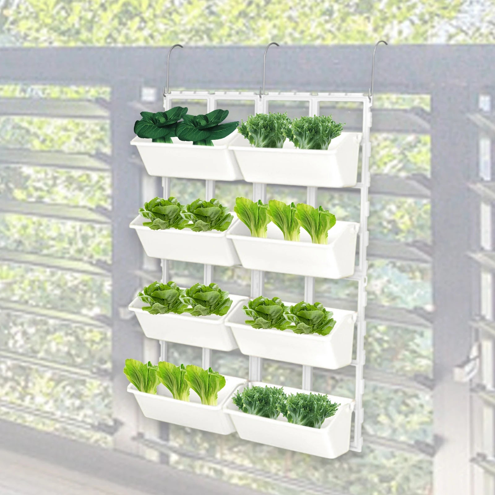 Hanging  garden