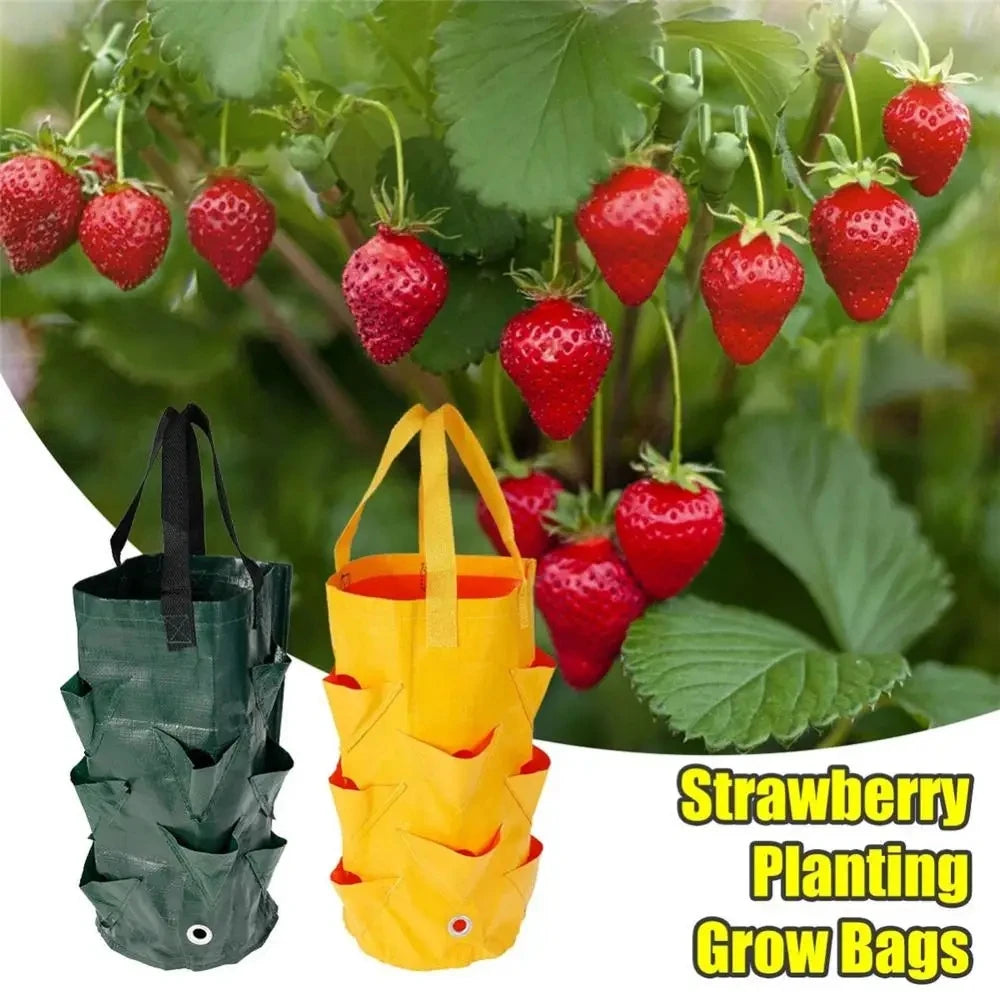 Multi-season hang planter