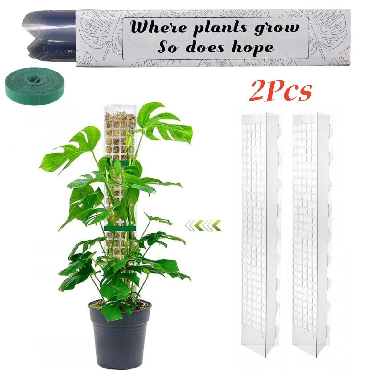 Growth Support f