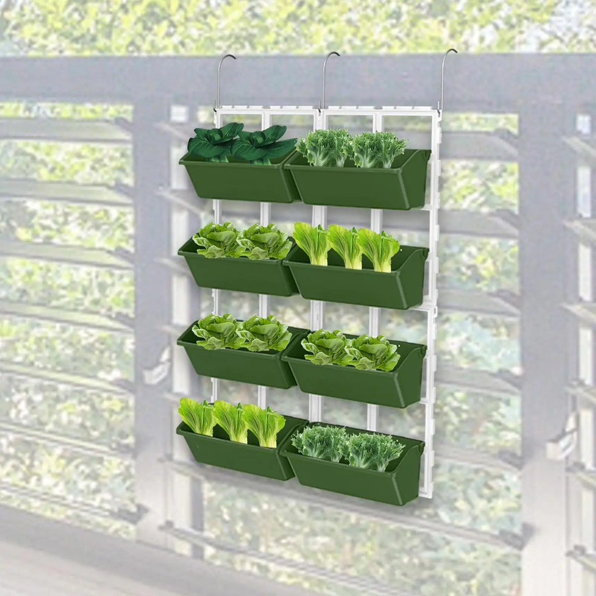 Hanging  garden