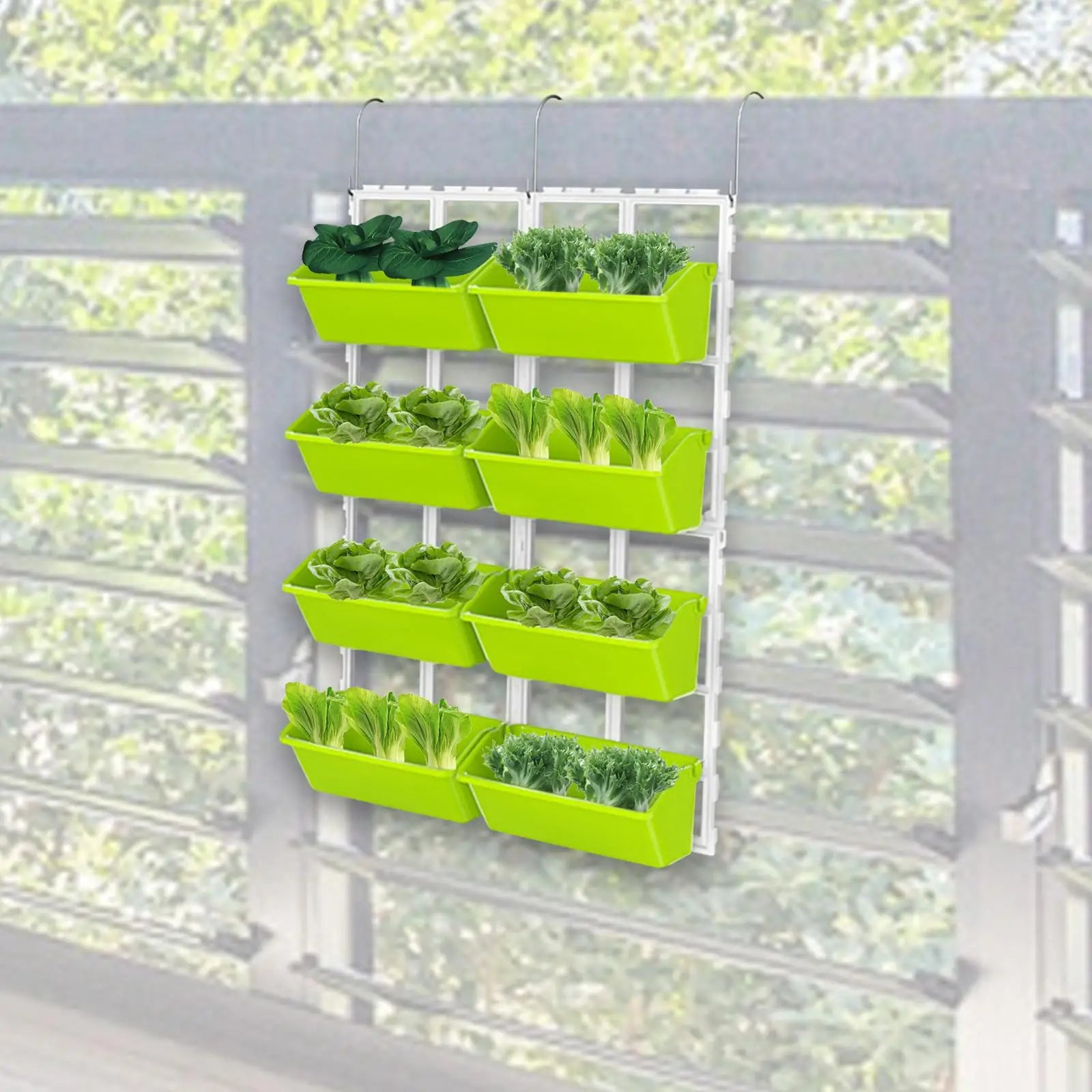 Hanging  garden
