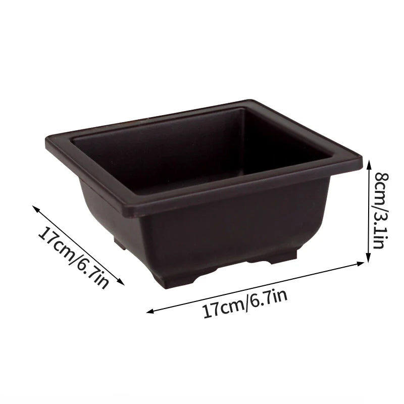 🌿 Old & Wise – Bonsai-Inspired Smart Planter