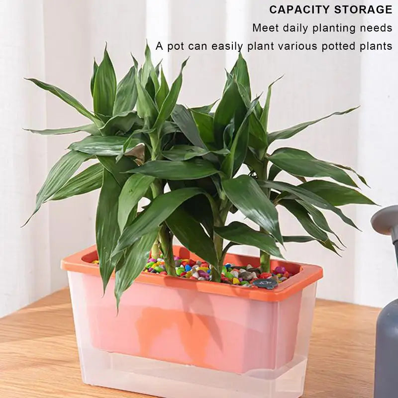 Shalom Series – Rectangle Smart Self-Watering Planter