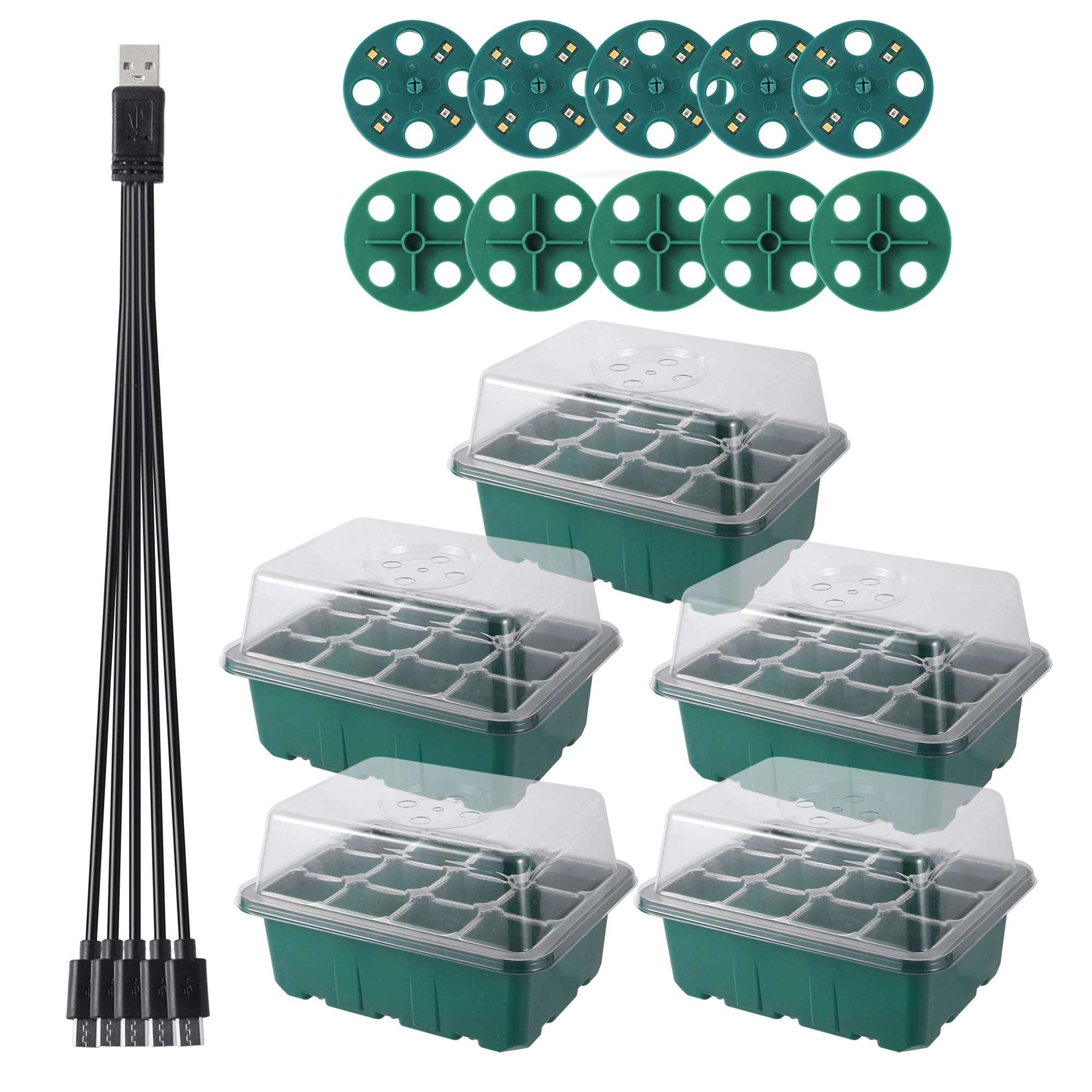 Seed Germination Incubator