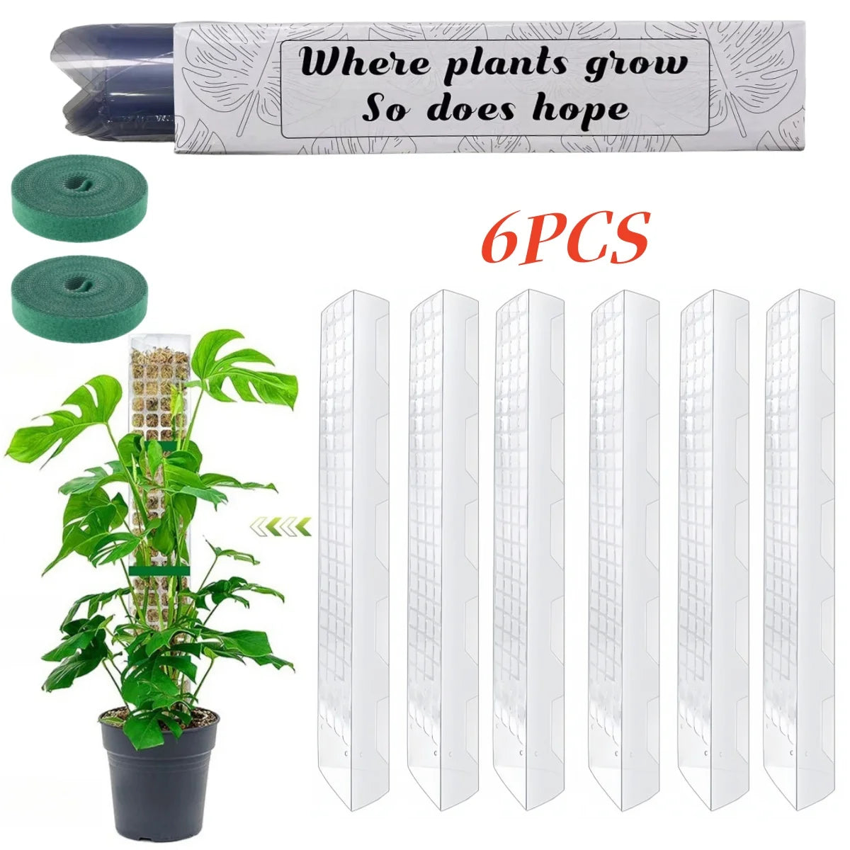 Growth Support f
