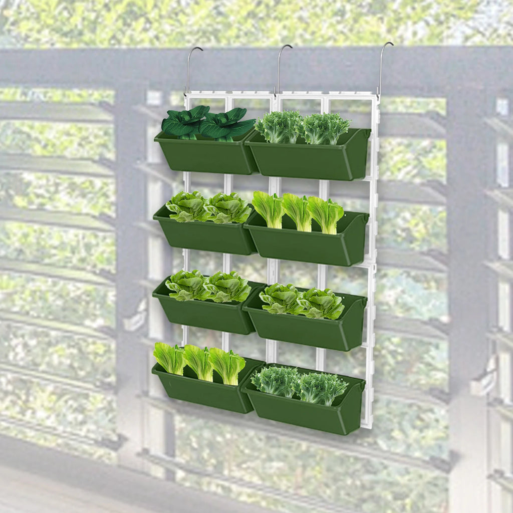 Hanging  garden