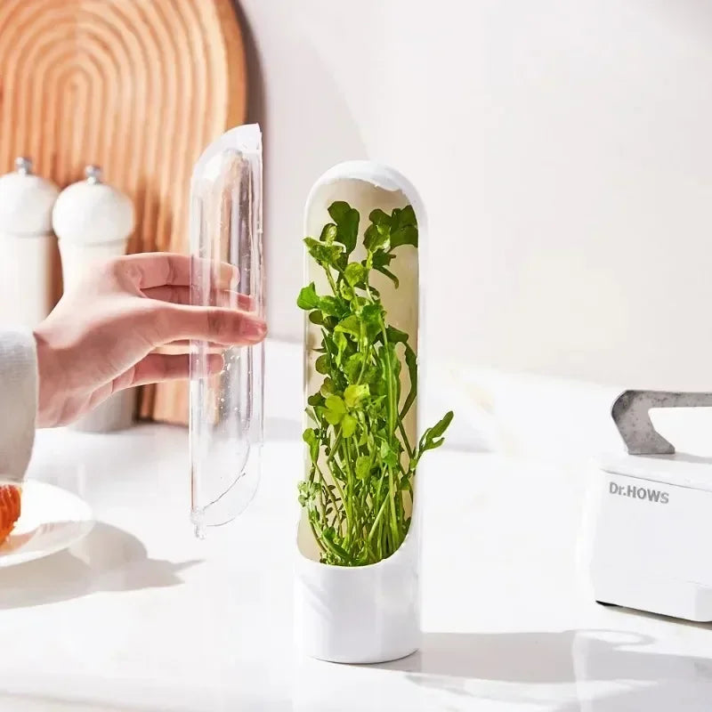 Herb Saver Storage Container Fresh Herb Keeper Vanilla Vegetables Fresh Preservation Bottle for Refrigerator Kitchen