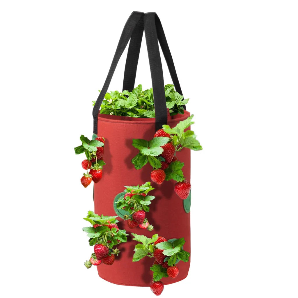 Multi-season hang planter