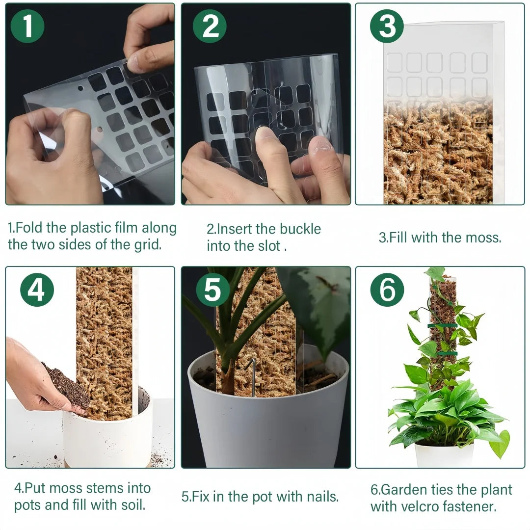 Growth Support f