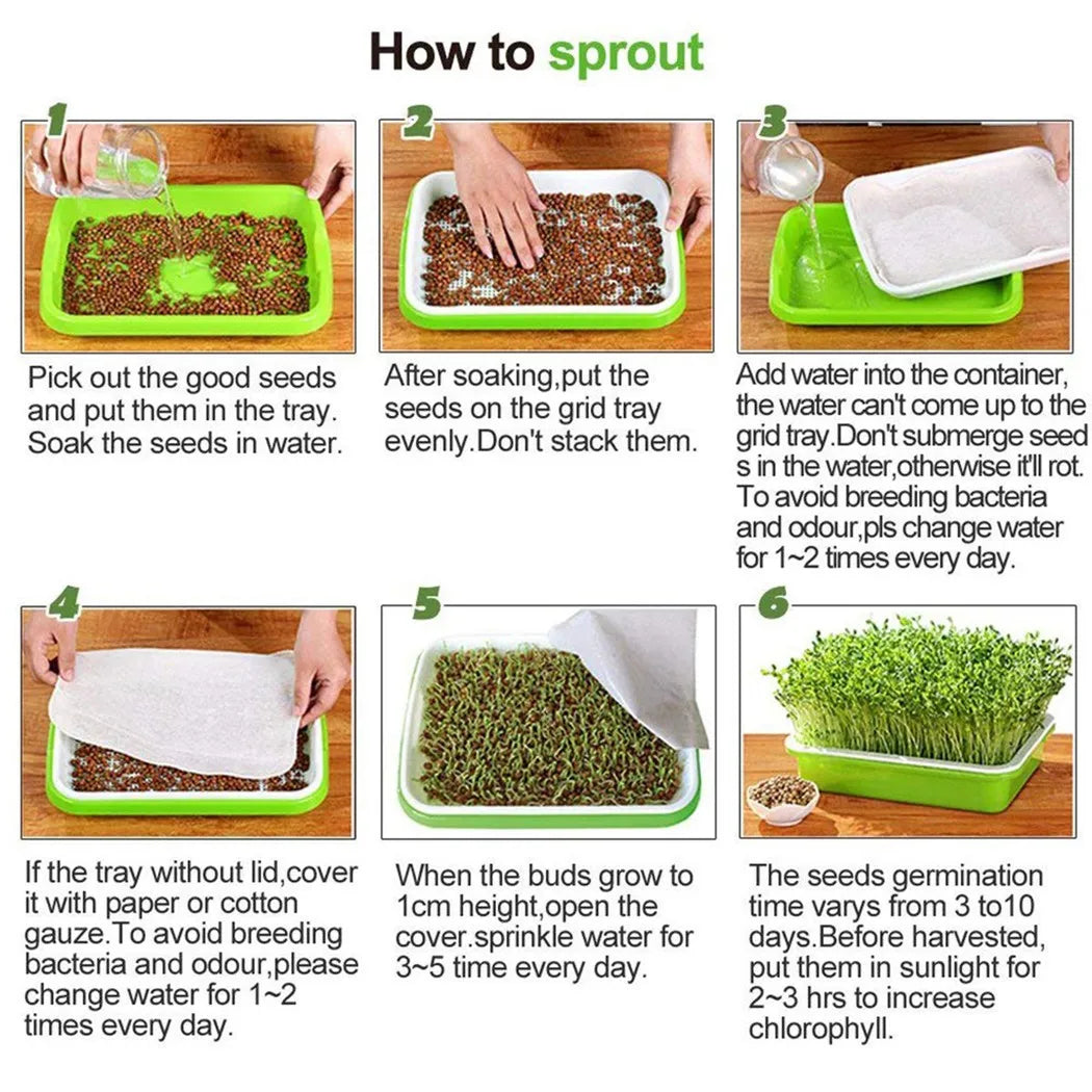 Microgreens 2 Layer Hydroponic Tray Sprouts Tray Anti-mosquito Bites 33cm*26cm*5cm For Garden Farm Cultivates Grows Plant Flower