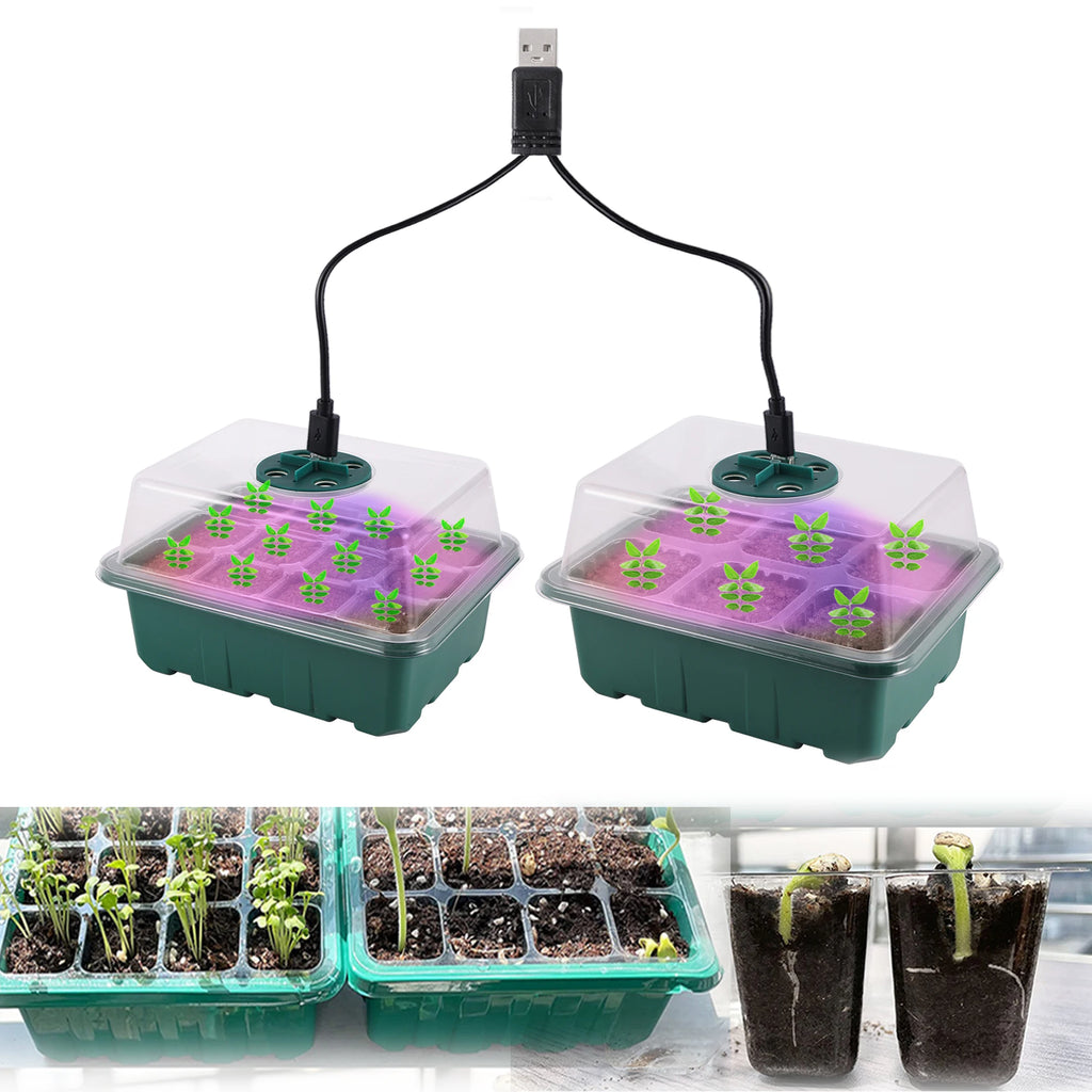 Seed Germination Incubator