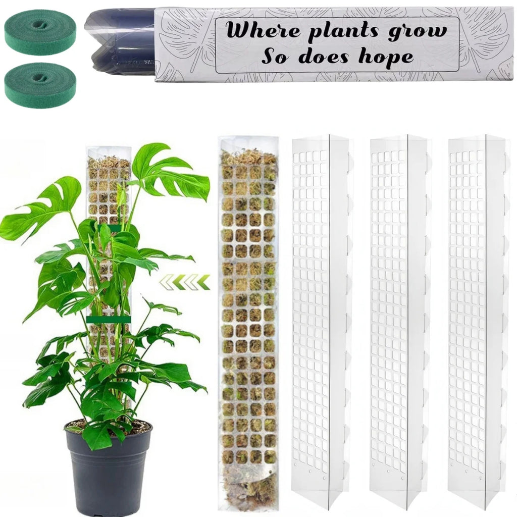 Growth Support f
