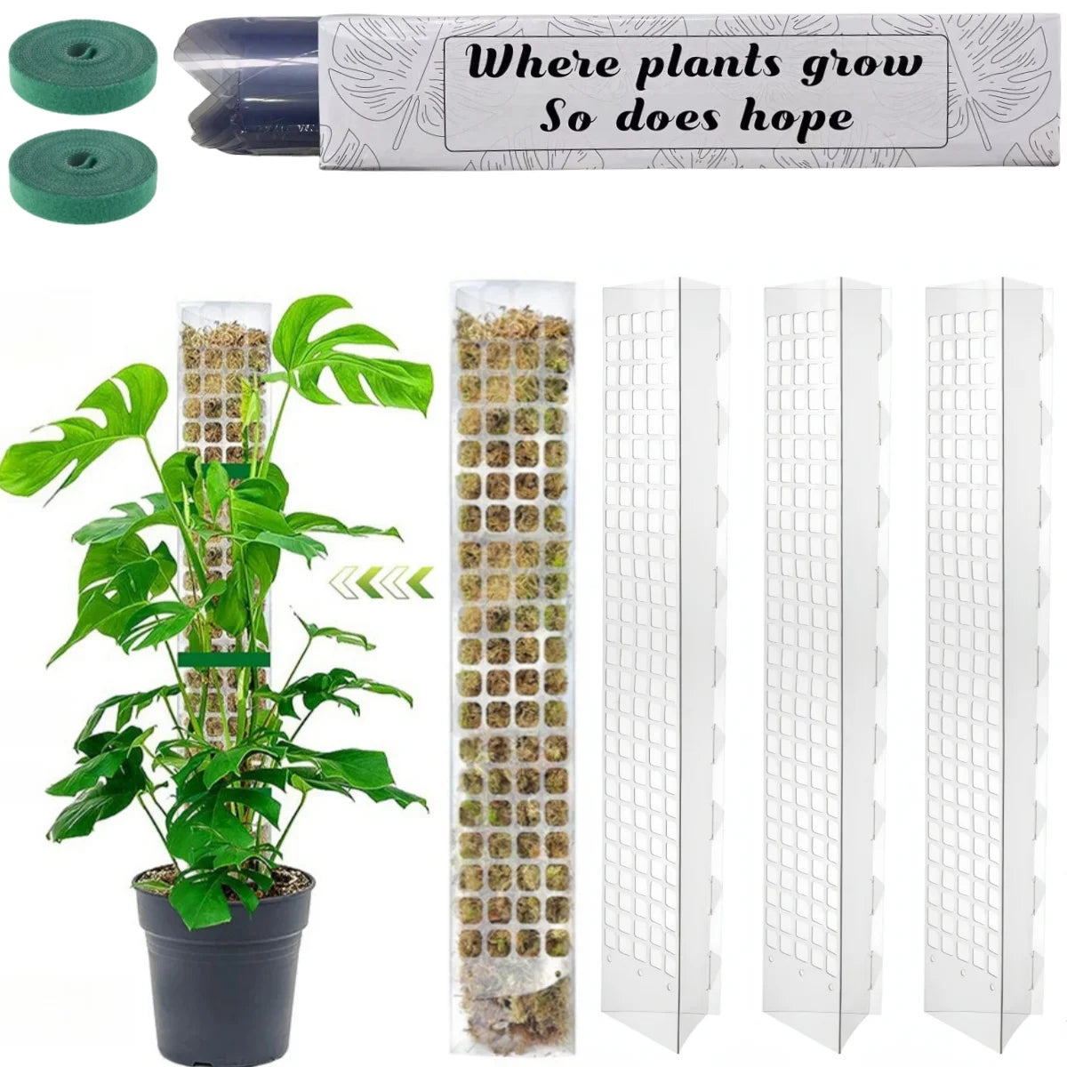 Growth Support f