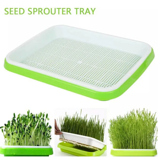 Microgreens 2 Layer Hydroponic Tray Sprouts Tray Anti-mosquito Bites 33cm*26cm*5cm For Garden Farm Cultivates Grows Plant Flower