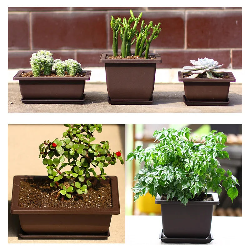 🌿 Old & Wise – Bonsai-Inspired Smart Planter