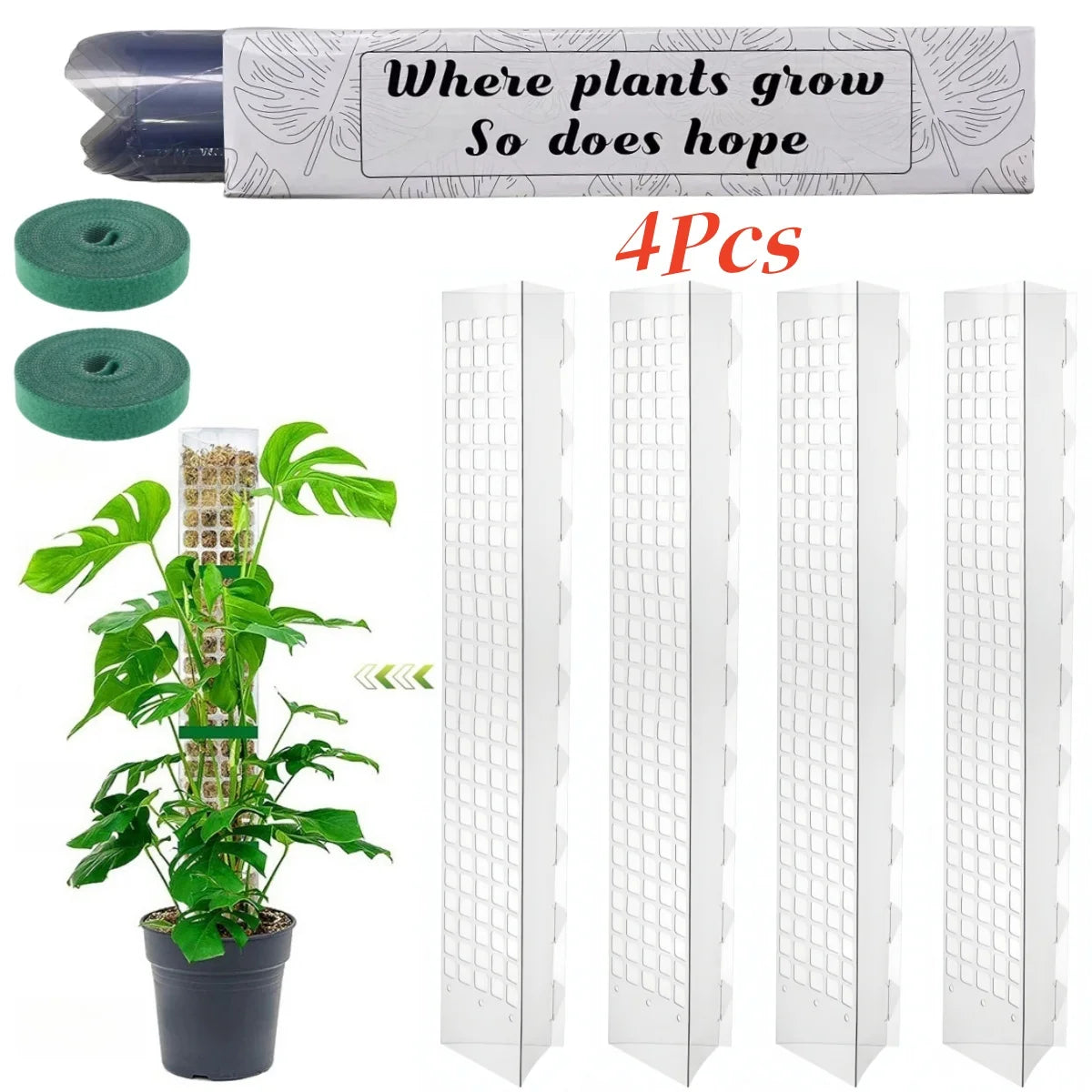 Growth Support f