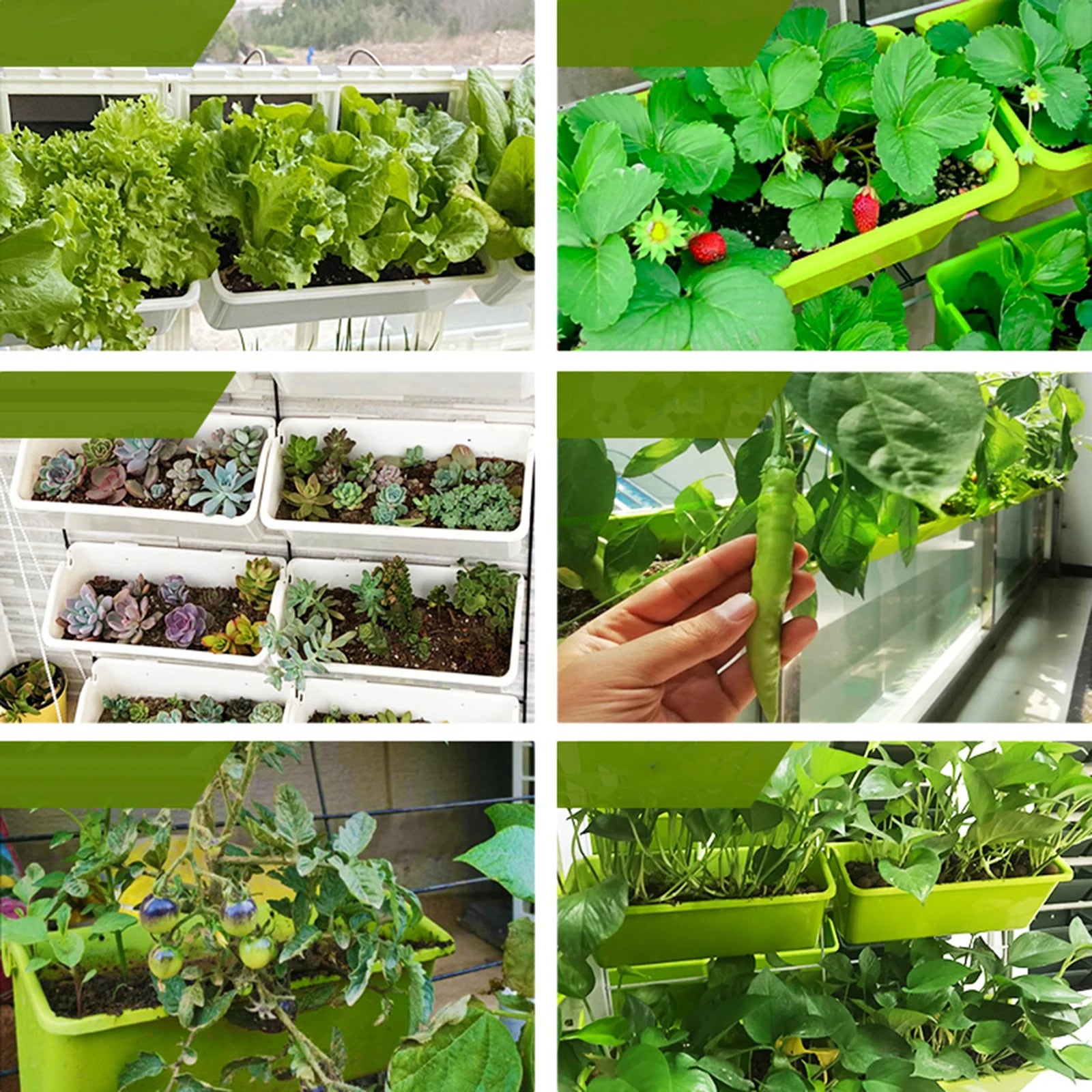 Hanging  garden