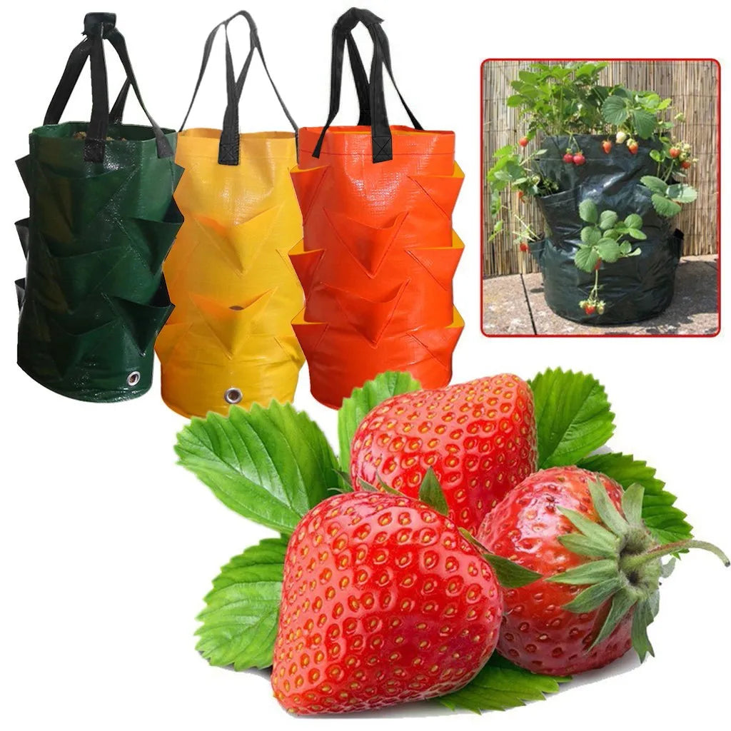 Multi-season hang planter