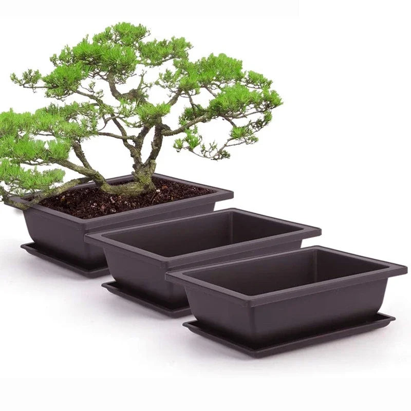 🌿 Old & Wise – Bonsai-Inspired Smart Planter