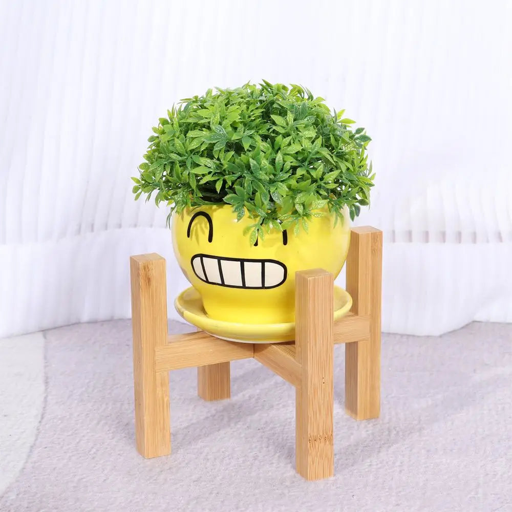 Elegant flower pot holder